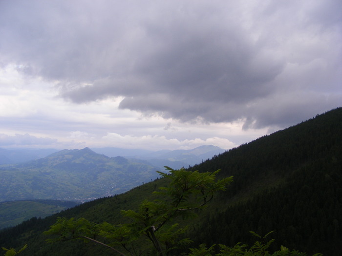 DSCF1465