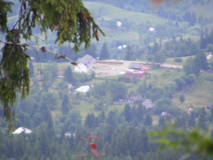 DSCF1468