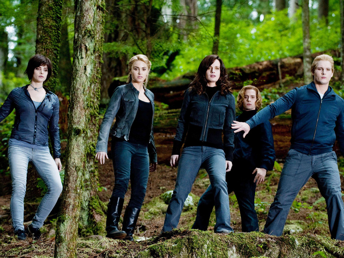 6 - The Twilight Saga