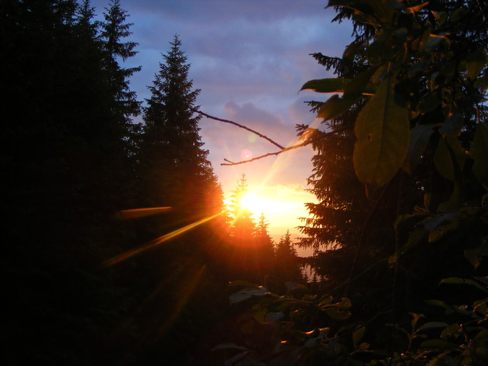 DSCF1471