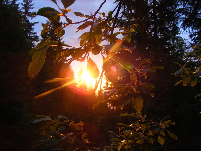 DSCF1472