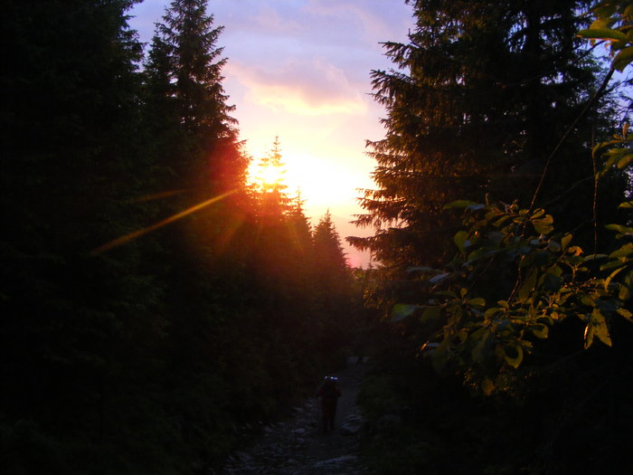 DSCF1475