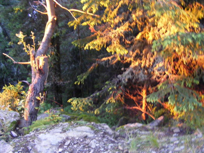 DSCF1476