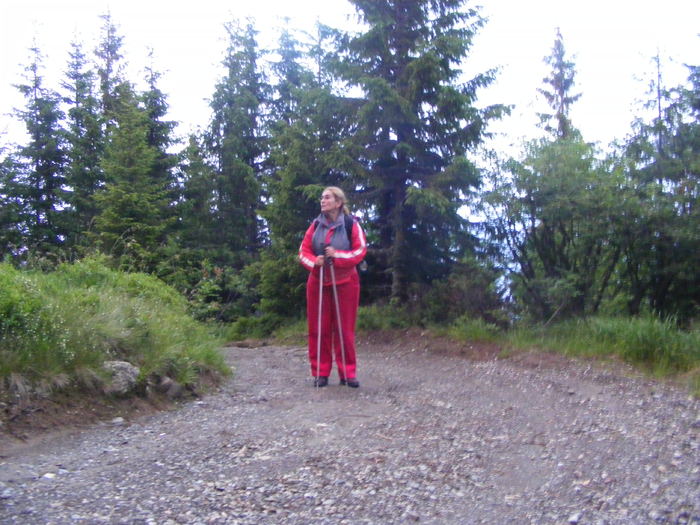 DSCF1484