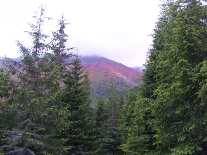DSCF1485