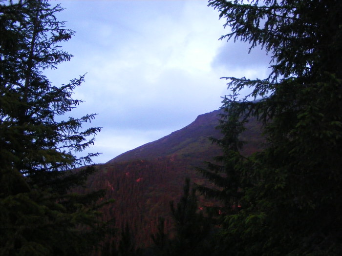 DSCF1486