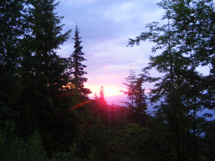 DSCF1487