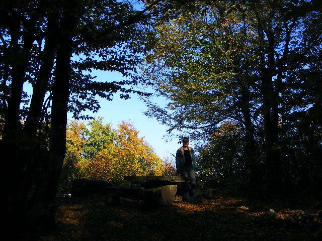 DSCF7582 - Cluj Cheile _Turzii 25 oct 2009