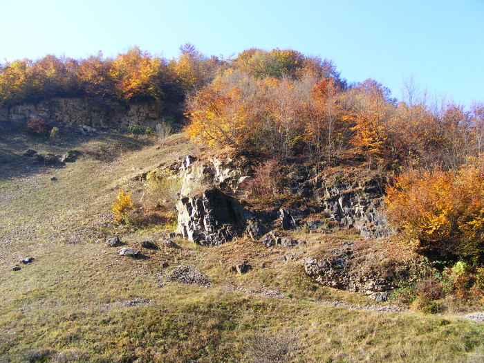 DSCF7598 - Cluj Cheile _Turzii 25 oct 2009