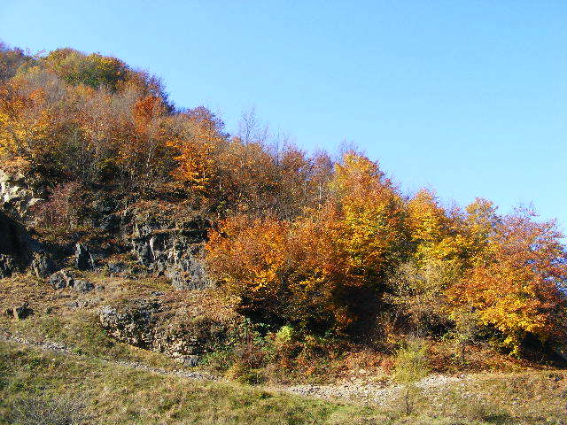 DSCF7601 - Cluj Cheile _Turzii 25 oct 2009