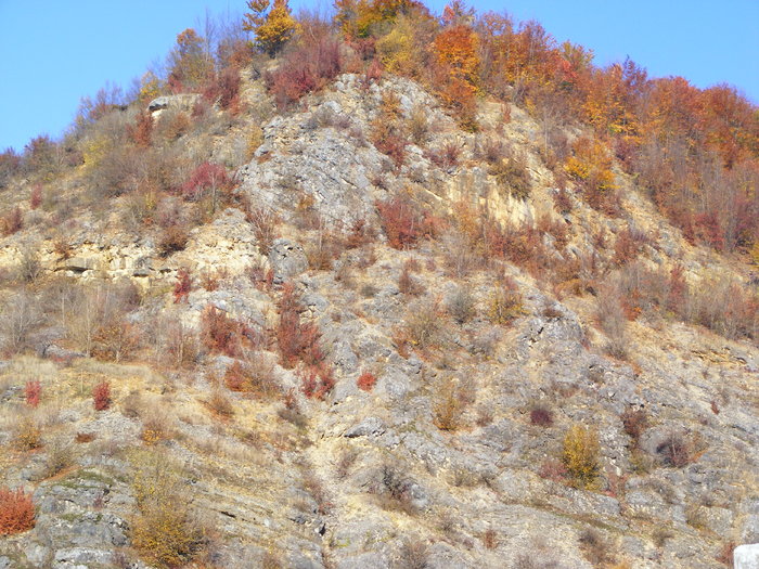 DSCF7611 - Cluj Cheile _Turzii 25 oct 2009