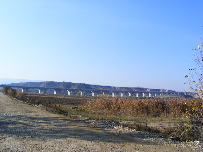 DSCF7654 - Cluj Cheile _Turzii 25 oct 2009