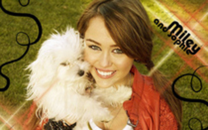 miley - xXxMiluss_Hannah MontanaxXx