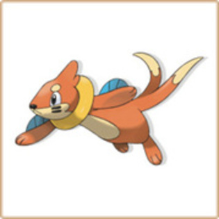 buizel