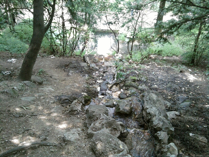 SP_A1347 - gradina botanica bucuresti