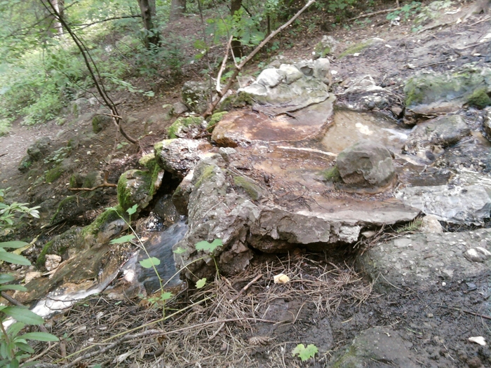 SP_A1350 - gradina botanica bucuresti