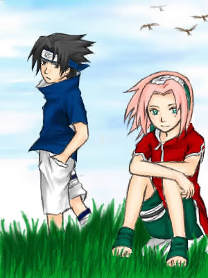 4248431 - sasusaku