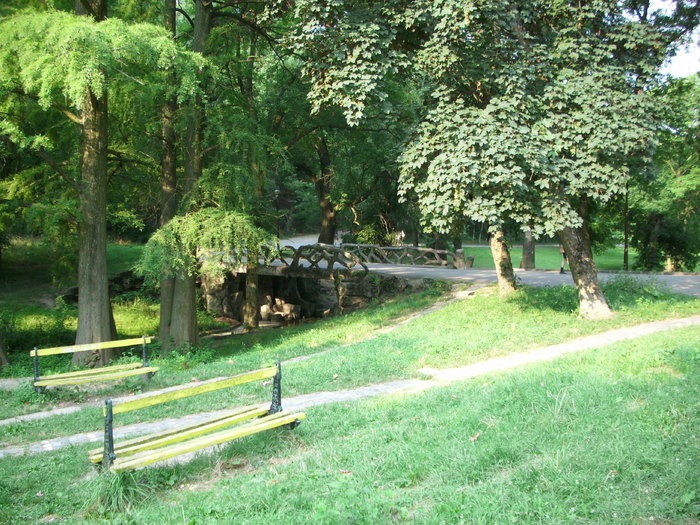 Parcul ROMANESCU 1-08-2010 002