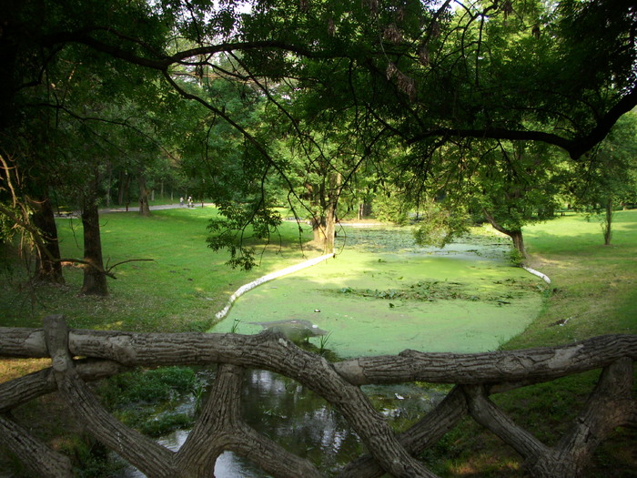 Parcul ROMANESCU 1-08-2010 004