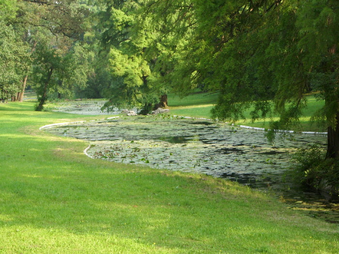 Parcul ROMANESCU 1-08-2010 006