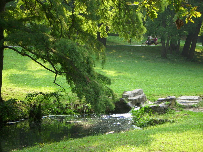 Parcul ROMANESCU 1-08-2010 007