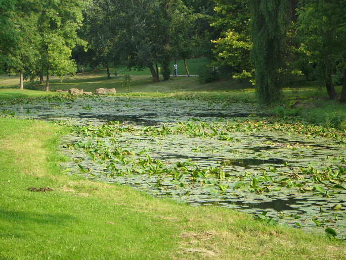 Parcul ROMANESCU 1-08-2010 009