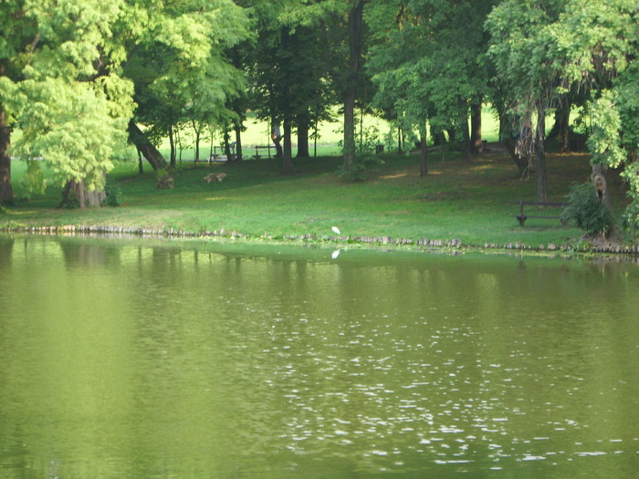 Parcul ROMANESCU 1-08-2010 019