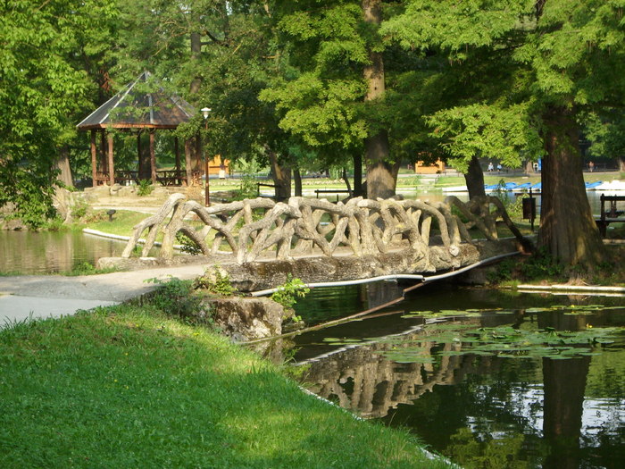 Parcul ROMANESCU 1-08-2010 025