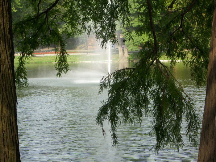 Parcul ROMANESCU 1-08-2010 038