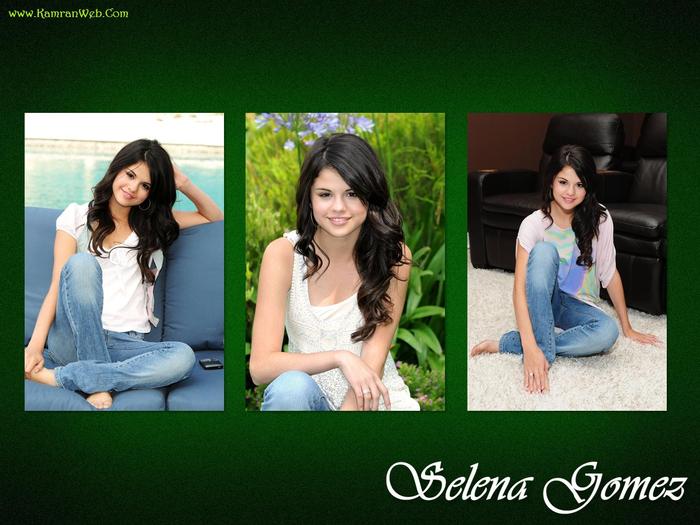 3 poze cu Selena Gomez - Plate pentru Magazin