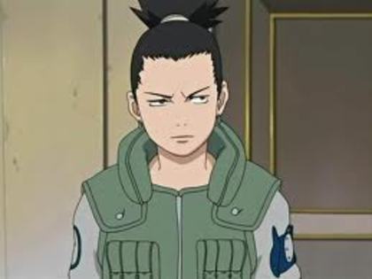 shikamaru - concurs 4