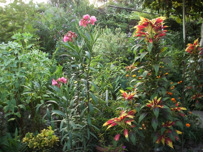 P7300024