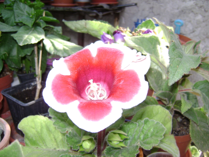DSC04796