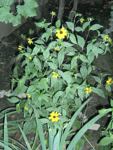 august 2010 019
