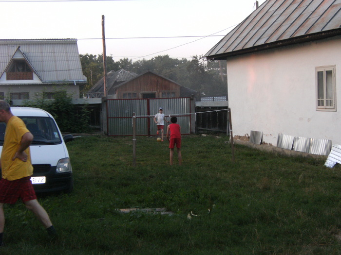 august 2010 038 - vegetatia 2010
