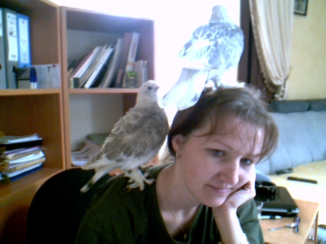 2010-03-30-38907 - pui 2010