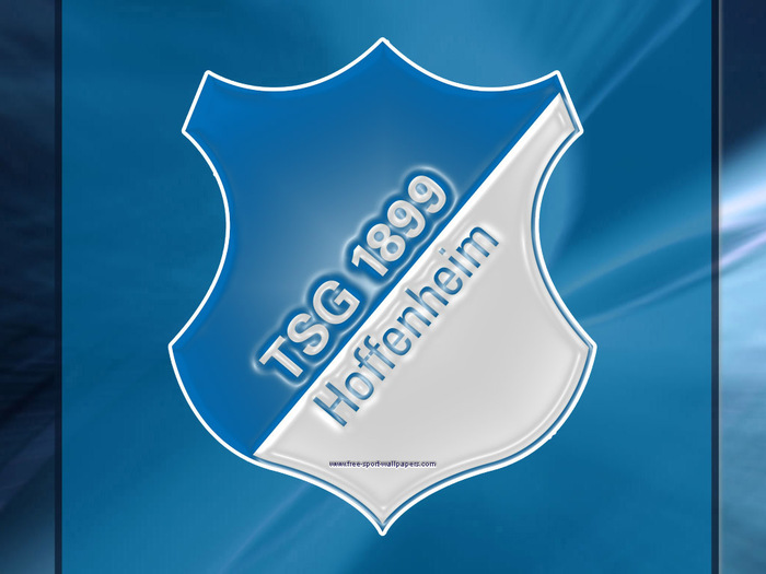 tsg_hoffenheim