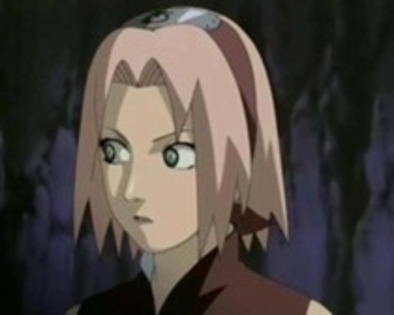 ZJCBJRTIBNFFWETRFTG - 0 Sakura 0