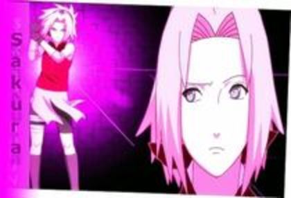 Copy of JJFXDOADPQZSOTHOHLK - 0 Sakura 0