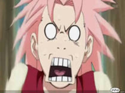 Copy of QJKKRPXWIKTBNELQFPO - 0 Sakura 0
