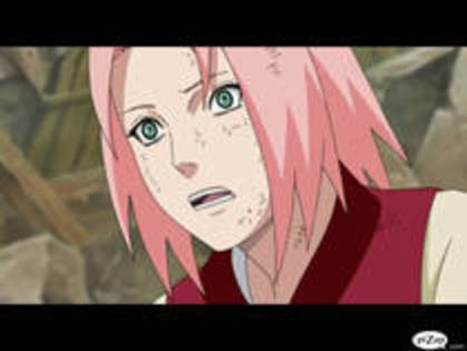 Copy of XGQZVXAOZBMJGVSTWMO - 0 Sakura 0
