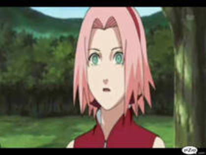 FSDIPVVTGYOFVNQTRLD - 0 Sakura 0