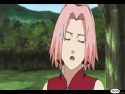 PORKYOXVCGFSTDFVVMT - 0 Sakura 0