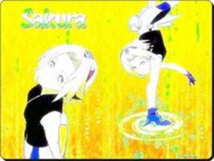 PPVVNGZIFJXVNKWCKTW - 0 Sakura 0