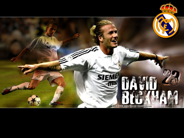 3 (15) - World cup 2010