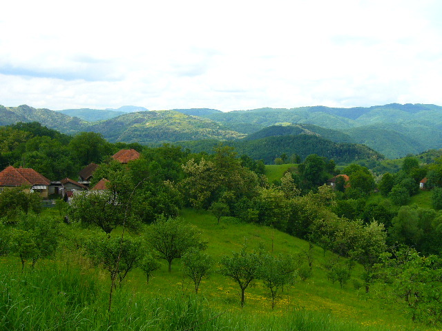 la sesuri - Targul de la Faget si pastoral 2010