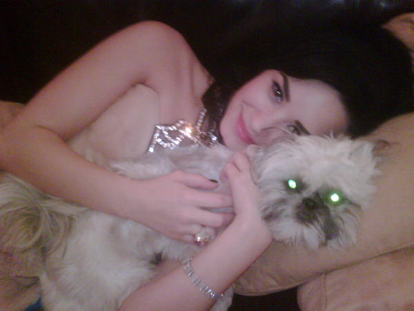 XoXoMileyXoXoCyrusXoXo