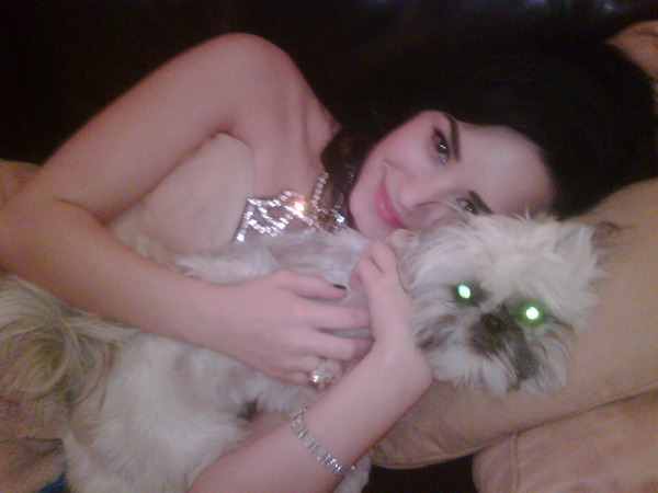 twit-pic-demi-lovato-9178338-600-450 - Her dog