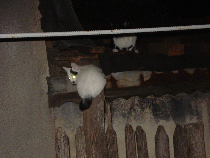 ESCAPADA NOCTURNA LA VECINI