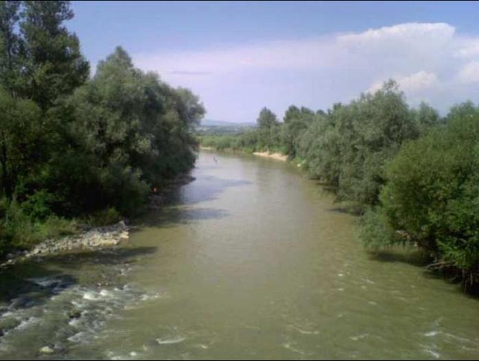 pescari la confluenta...